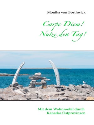 cover image of Carpe Diem! Nutze den Tag!